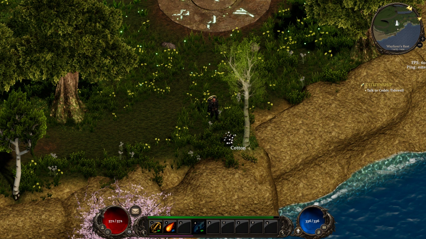 Cotton growing near the Wayfarer’s Rest shoreline in Helrift